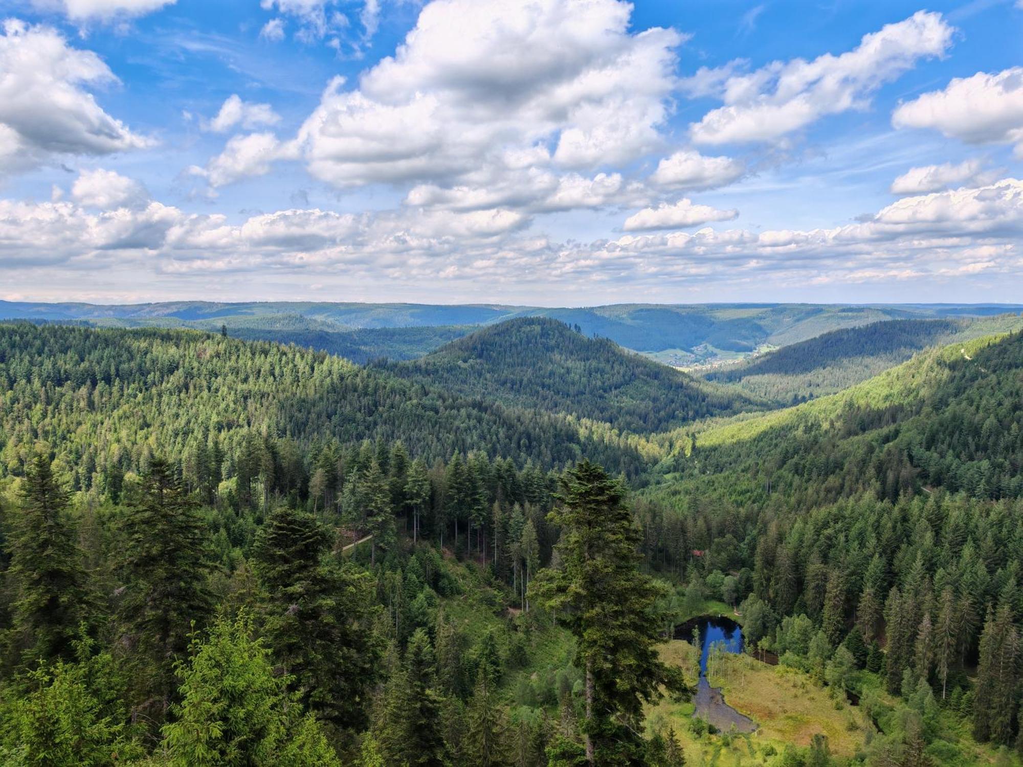 Gasthof "Zum Steinwald" โลซบวร์ก ภายนอก รูปภาพ