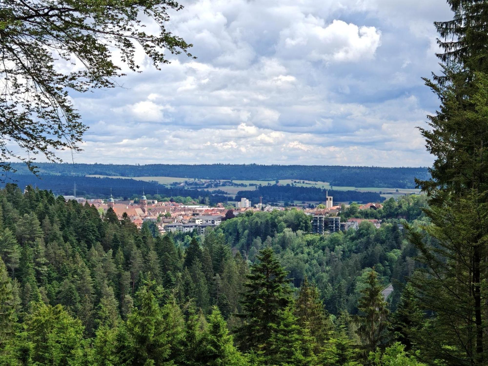 Gasthof "Zum Steinwald" โลซบวร์ก ภายนอก รูปภาพ